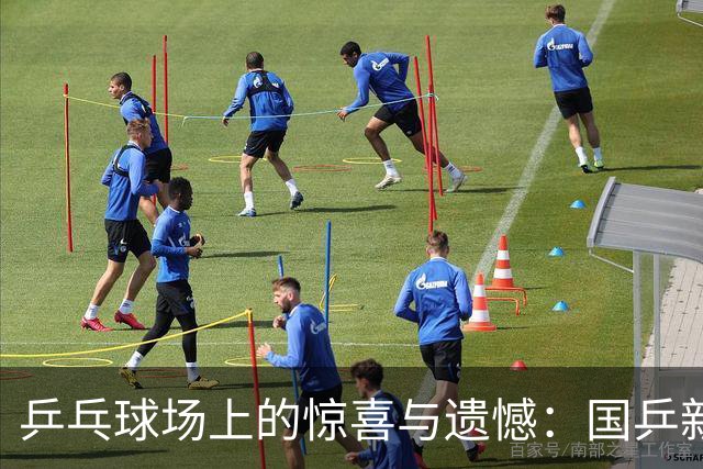 乒乓球场上的惊喜与遗憾：国乒新星的故事