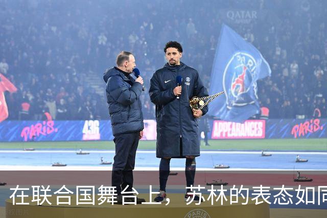 在联合国舞台上，苏林的表态如同一场外交“大秀