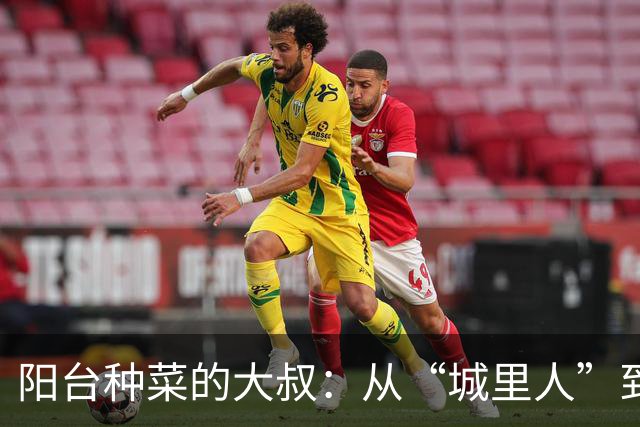 阳台种菜的大叔：从“城里人”到“菜农”的逆袭之路